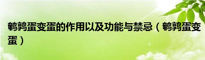 鹌鹑蛋变蛋的作用以及功能与禁忌（鹌鹑蛋变蛋）