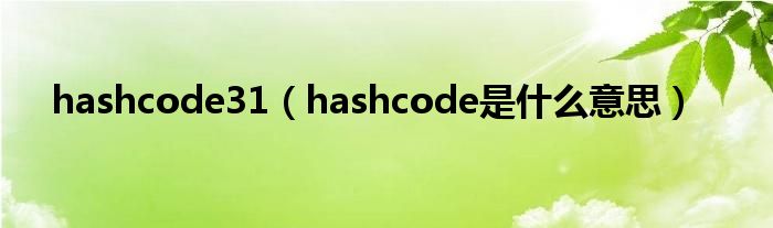 hashcode31（hashcode是什么意思）