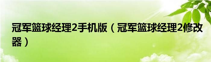 冠军篮球经理2手机版（冠军篮球经理2修改器）