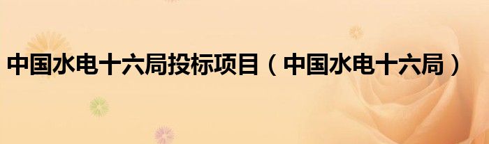 中国水电十六局投标项目（中国水电十六局）