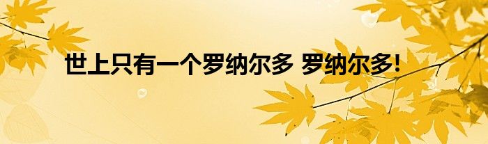 世上只有一个罗纳尔多 罗纳尔多!