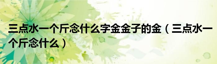 三点水一个斤念什么字金金子的金（三点水一个斤念什么）