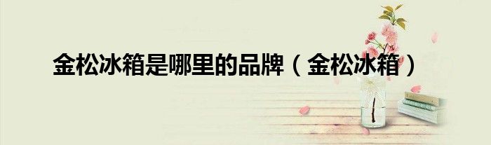 金松冰箱是哪里的品牌（金松冰箱）