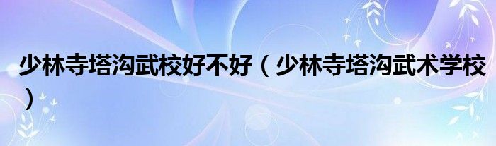 少林寺塔沟武校好不好（少林寺塔沟武术学校）