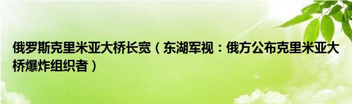 俄罗斯克里米亚大桥长宽（东湖军视：俄方公布克里米亚大桥爆炸组织者）