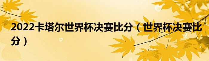 2022卡塔尔世界杯决赛比分（世界杯决赛比分）