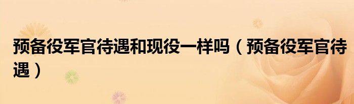 预备役军官待遇和现役一样吗（预备役军官待遇）
