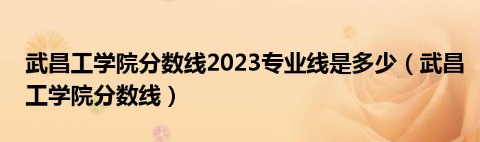 武昌工学院分数线2023专业线是多少（武昌工学院分数线）