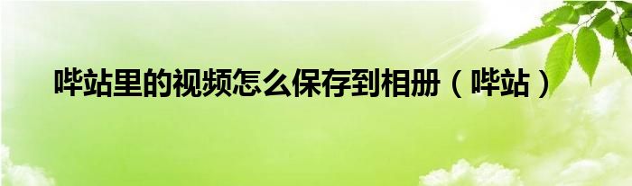 哔站里的视频怎么保存到相册（哔站）