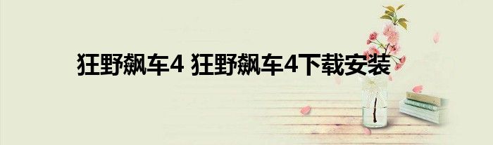 狂野飙车4 狂野飙车4下载安装