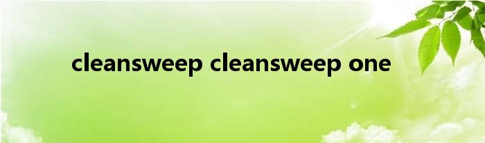 cleansweep cleansweep one