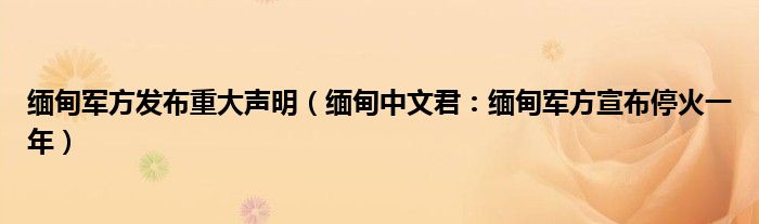 缅甸军方发布重大声明（缅甸中文君：缅甸军方宣布停火一年）