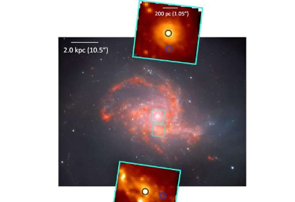 JWST 观测探索附近合并星系的分子流出