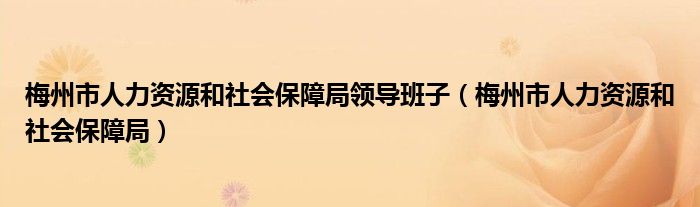 梅州市人力资源和社会保障局领导班子（梅州市人力资源和社会保障局）