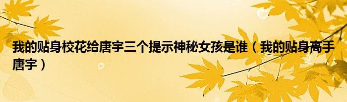 我的贴身校花给唐宇三个提示神秘女孩是谁（我的贴身高手唐宇）