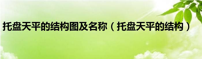 托盘天平的结构图及名称（托盘天平的结构）