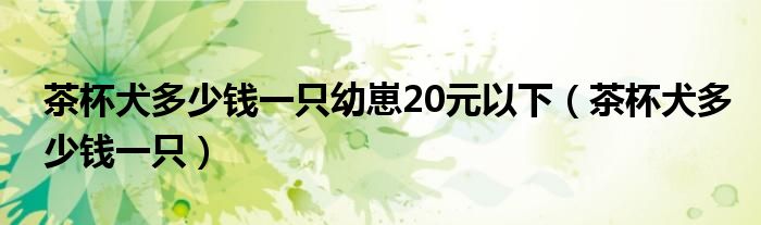 茶杯犬多少钱一只幼崽20元以下（茶杯犬多少钱一只）