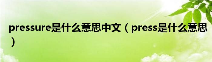 pressure是什么意思中文（press是什么意思）