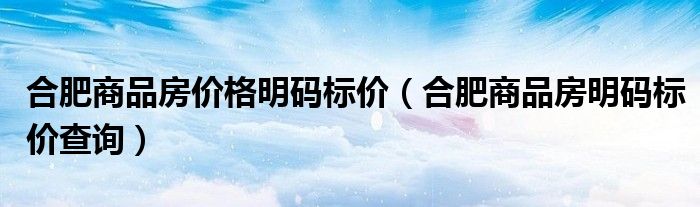 合肥商品房价格明码标价（合肥商品房明码标价查询）