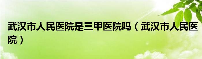 武汉市人民医院是三甲医院吗（武汉市人民医院）