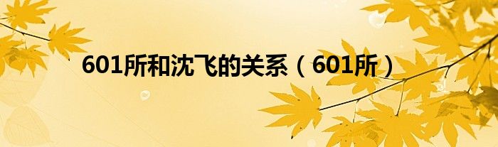 601所和沈飞的关系（601所）