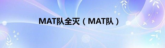 MAT队全灭（MAT队）