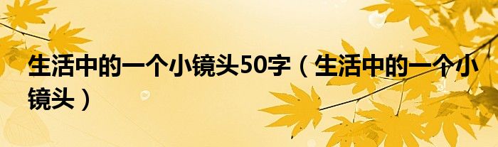 生活中的一个小镜头50字（生活中的一个小镜头）