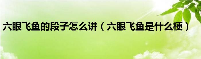 六眼飞鱼的段子怎么讲（六眼飞鱼是什么梗）