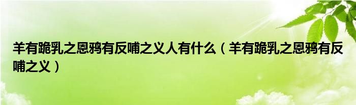 羊有跪乳之恩鸦有反哺之义人有什么（羊有跪乳之恩鸦有反哺之义）