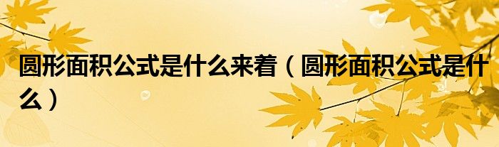 圆形面积公式是什么来着（圆形面积公式是什么）