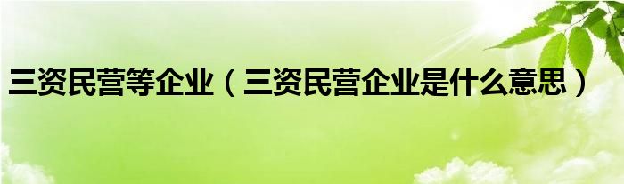 三资民营等企业（三资民营企业是什么意思）