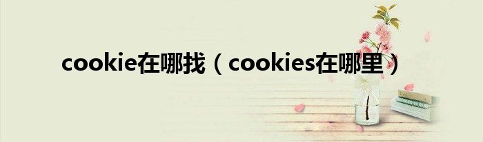 cookie在哪找（cookies在哪里）