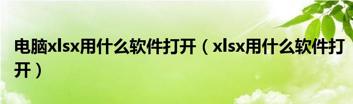 电脑xlsx用什么软件打开（xlsx用什么软件打开）