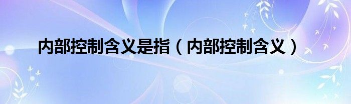 内部控制含义是指（内部控制含义）