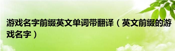 游戏名字前缀英文单词带翻译（英文前缀的游戏名字）