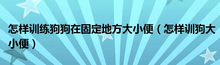 怎样训练狗狗在固定地方大小便（怎样训狗大小便）