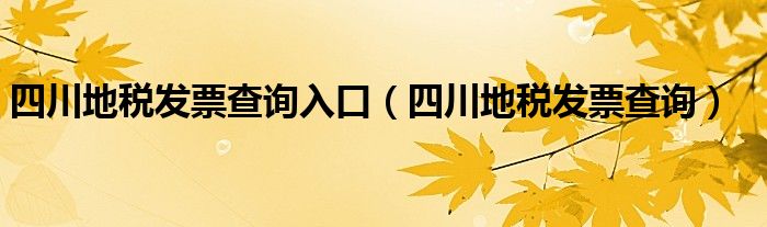 四川地税发票查询入口（四川地税发票查询）