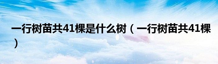 一行树苗共41棵是什么树（一行树苗共41棵）