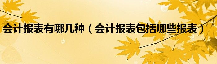 会计报表有哪几种（会计报表包括哪些报表）