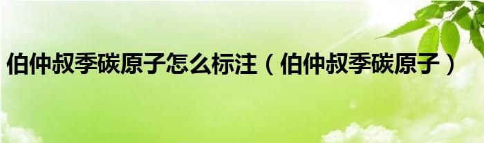 伯仲叔季碳原子怎么标注（伯仲叔季碳原子）