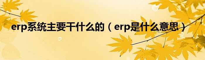 erp系统主要干什么的（erp是什么意思）