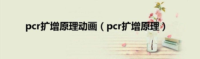 pcr扩增原理动画（pcr扩增原理）