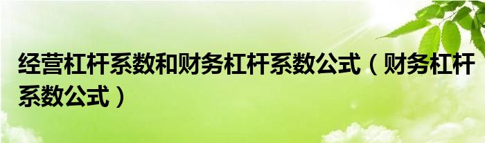 经营杠杆系数和财务杠杆系数公式（财务杠杆系数公式）