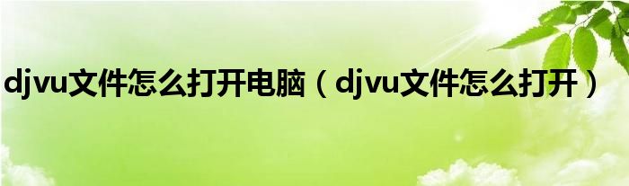 djvu文件怎么打开电脑（djvu文件怎么打开）