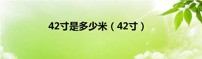 42寸是多少米（42寸）