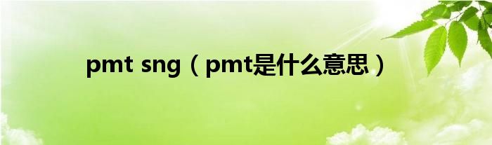 pmt sng（pmt是什么意思）