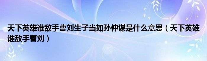 天下英雄谁敌手曹刘生子当如孙仲谋是什么意思（天下英雄谁敌手曹刘）