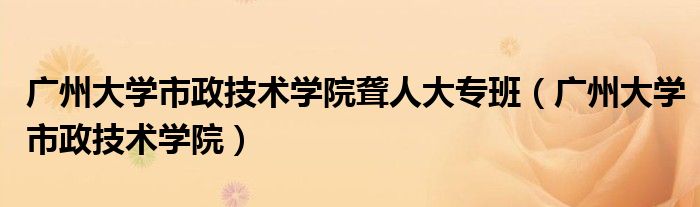 广州大学市政技术学院聋人大专班（广州大学市政技术学院）