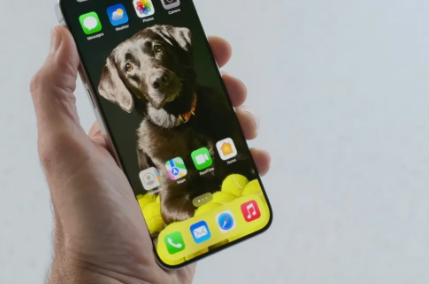 iOS18可以锁定或隐藏应用程序但苹果可以采取以下措施让应用程序安全性更上一层楼