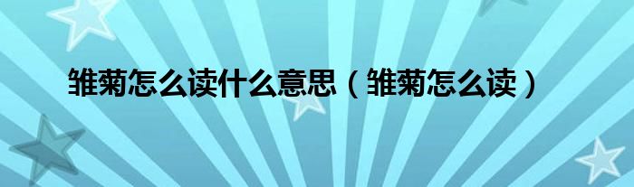 雏菊怎么读什么意思（雏菊怎么读）